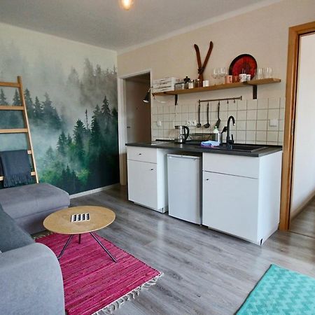 Апартаменты Apartament Bazatatry Sloneczny II Закопане Экстерьер фото