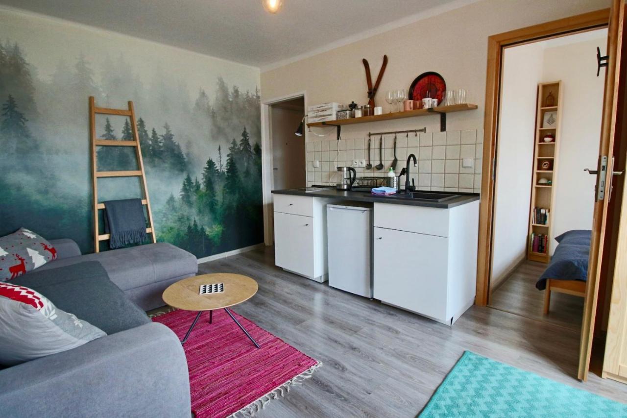 Апартаменты Apartament Bazatatry Sloneczny II Закопане Экстерьер фото