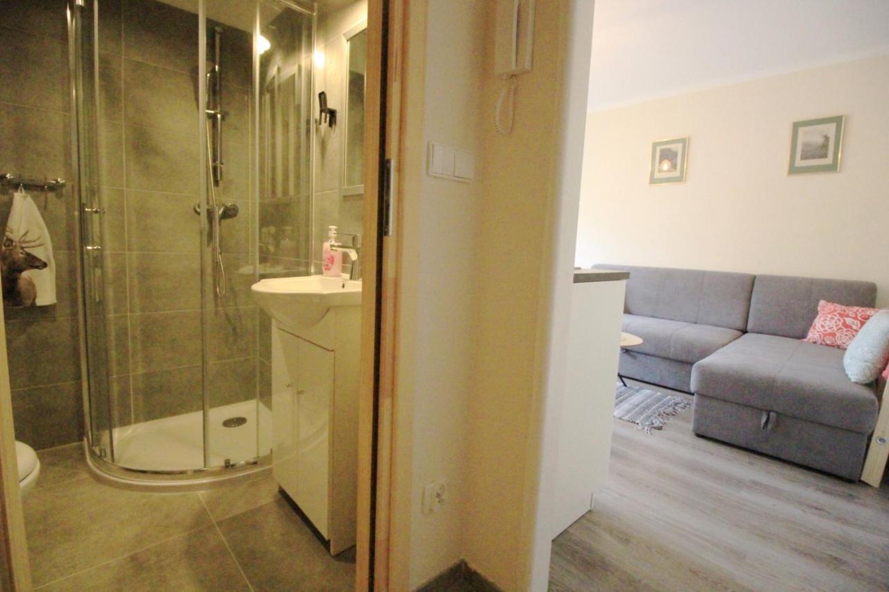 Апартаменты Apartament Bazatatry Sloneczny II Закопане Экстерьер фото